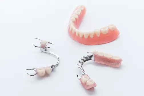 様々なタイプの入れ歯のラインナップ