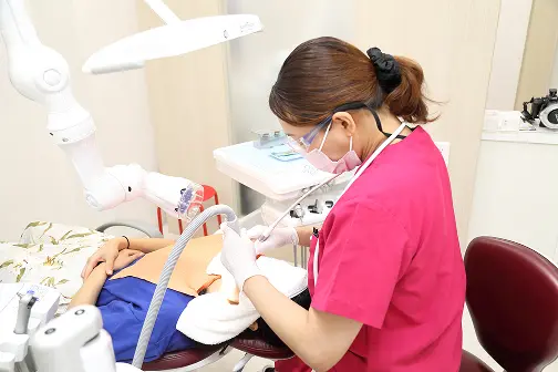 定期メンテナンスの様子