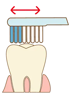 歯磨きの仕方を説明しているイラスト